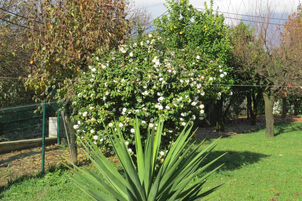 Sweet Home Braga Hostel & Guest House Exterior photo